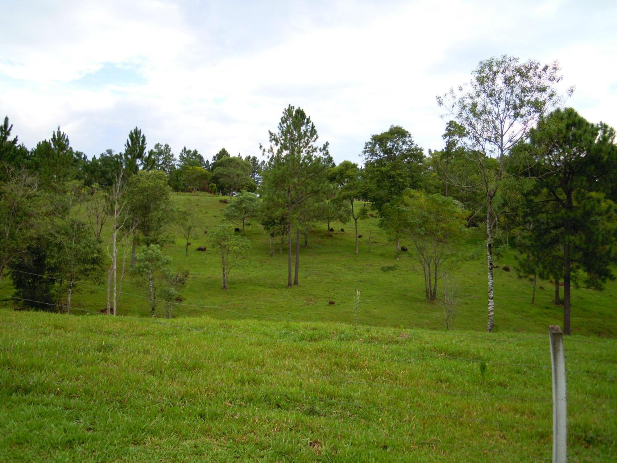 Cabañas Moconá Dos de Mayo Habitación foto